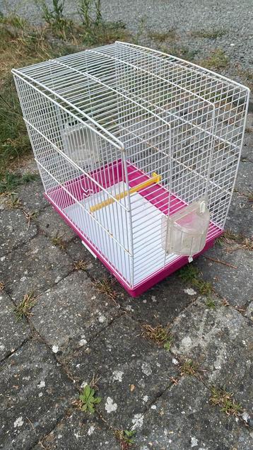 Vogelkooi beschikbaar voor biedingen