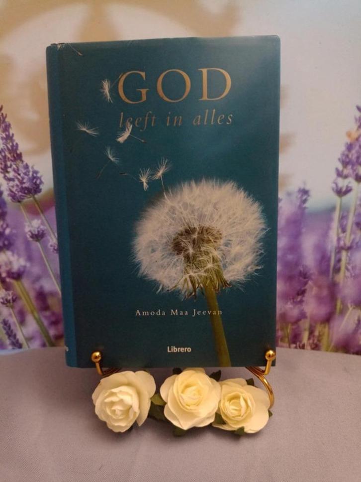 God leeft in alles, Boeken, Esoterie en Spiritualiteit, Zo goed als nieuw, Ophalen of Verzenden