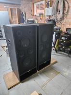 2 boxen met versterker en paneel, Overige typen, Nieuw, 120 watt of meer, Ophalen