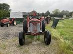 Massey Ferguson 65 avec chargeur frontal, Articles professionnels, Agriculture | Tracteurs, Utilisé, 250 à 500 cm, Massey Ferguson