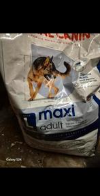 Nourriture pour Chien Royal Canin, Dieren en Toebehoren, Dierenvoeding, Ophalen, Hond