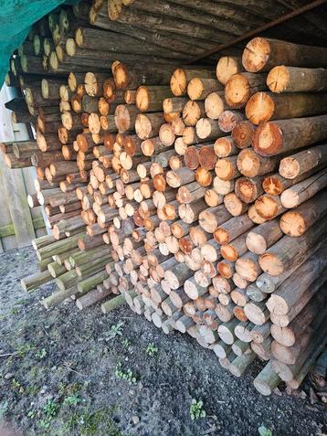 Hout palen geïmpregneerd L = 1 m diameter  +  - 5 cm beschikbaar voor biedingen