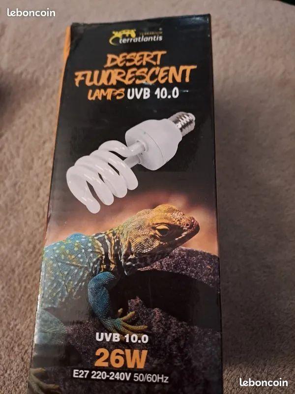 accessoires terrarium, Animaux & Accessoires, Reptiles & Amphibiens | Accessoires, Comme neuf, Autres types, Enlèvement