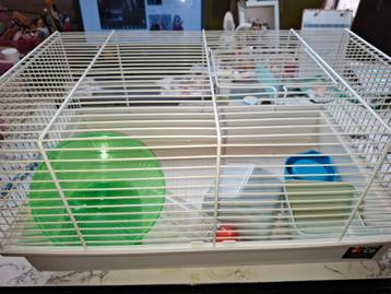 Cage à hamster