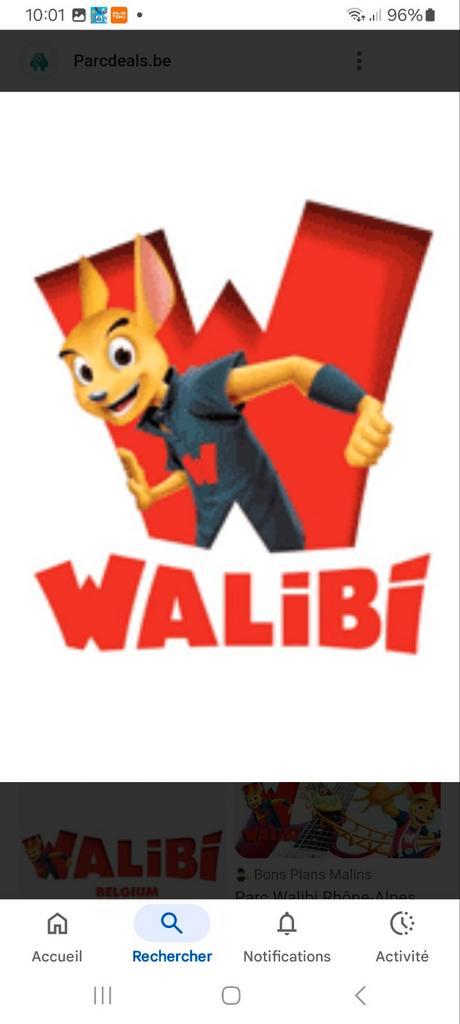 Réduction Ticket walibi, Tickets en Kaartjes, Recreatie | Pretparken en Attractieparken