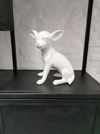 Beeld chihuahua, Ophalen, Zo goed als nieuw