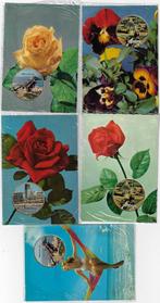 5 postkaarten Blankenberge Reclame voor parfum, Verzamelen, Ophalen of Verzenden