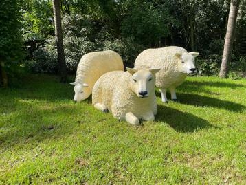(Jardin) Image de moutons Texel, 3 morceaux de jardin, ferme, Enlèvement, Neuf, Synthétique, Animal