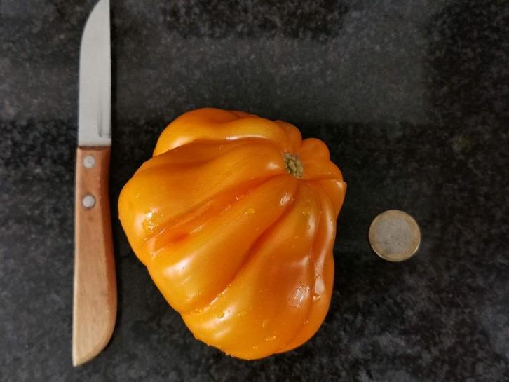 5 zaden grote gele tomaat Yellow Torbicki - biologisch, Tuin en Terras, Bloembollen en Zaden, Zaad, Voorjaar, Verzenden