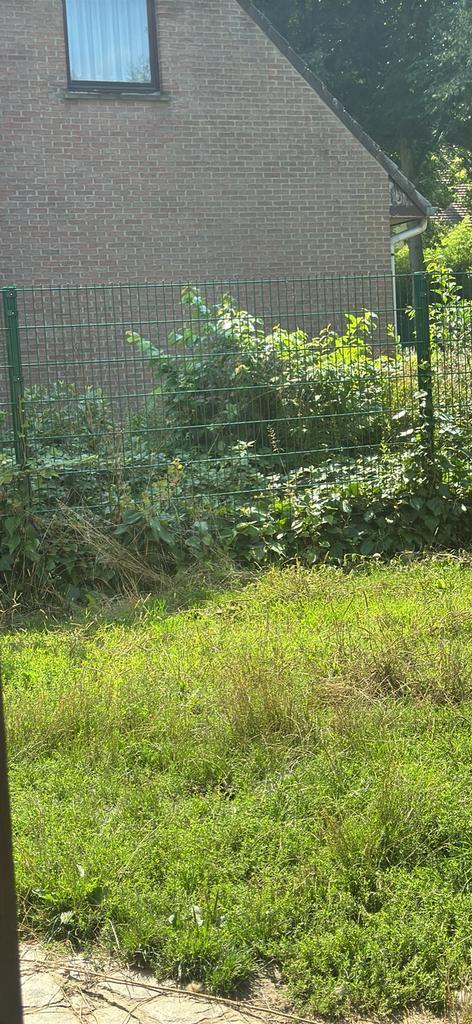 Sterk hekwerk met palen, Tuin en Terras, Gras en Kunstgras, Zo goed als nieuw, Ophalen