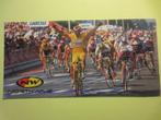 wielerkaart 1997 team saeco tour mario cipollini, Comme neuf, Envoi