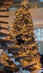 Mooie grote Kerstboom 2m75 nog in originele doos, Diversen, Kerst, Ophalen