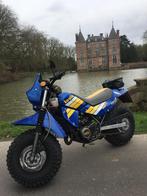 koala fantastique, Enlèvement