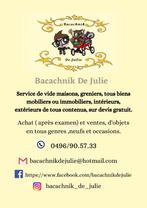 Bacachnik De Julie, Services & Professionnels