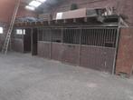 Paardenboxen te koop, Dieren en Toebehoren, Paarden