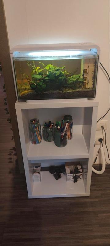 Superfish home 30 -25l aquarium wit incl toebehoren, Dieren en Toebehoren, Ophalen, Zo goed als nieuw