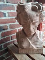 Beethoven, Enlèvement