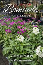 Bommels Antiekhuis! Ontdek onze collectie!, Antiek en Kunst, Ophalen of Verzenden