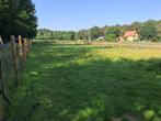 Weide te huur, Dieren en Toebehoren, Stalling en Weidegang, Weidegang