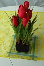 TULPEN ROOD MET AARDE NIEUW, Nieuw, Ophalen of Verzenden