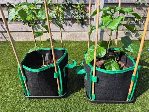 fabric pot stoffen bloempot 15L (25x25x25) -  Ongebruikt, Tuin en Terras, Bloempotten, Nieuw, Overige materialen, Binnen, Balkon