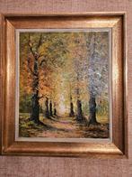 schilderij, Antiek en Kunst, Ophalen of Verzenden