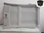 HEMELBEKLEDING Toyota Aygo X (01-2021/-) (|633100H290B0|), Gebruikt, Toyota