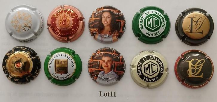 champagne capsules, Verzamelen, Wijnen, Zo goed als nieuw, Champagne, Frankrijk, Ophalen of Verzenden