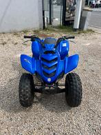 Yamaha yfm raptor 80