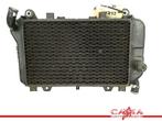 RADIATEUR Kawasaki ZZR 600 1993-2002 (ZZ-R600 ZX-6E ZX600E), Motoren, Gebruikt