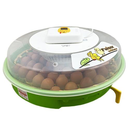 Puisor Exotic 203 broedmachine - keersleutel- Gratis eieren, Dieren en Toebehoren, Pluimvee | Toebehoren, Nieuw, Broedmachine
