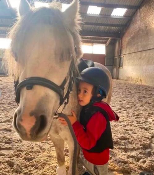 Liefste A pony, Dieren en Toebehoren, Pony's, Merrie, A pony (tot 1.17m), Recreatiepony, 7 tot 10 jaar, Met stamboom, Ontwormd