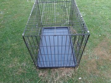ren, Ophalen, Hondenkennel, 65 tot 100 cm, Zo goed als nieuw