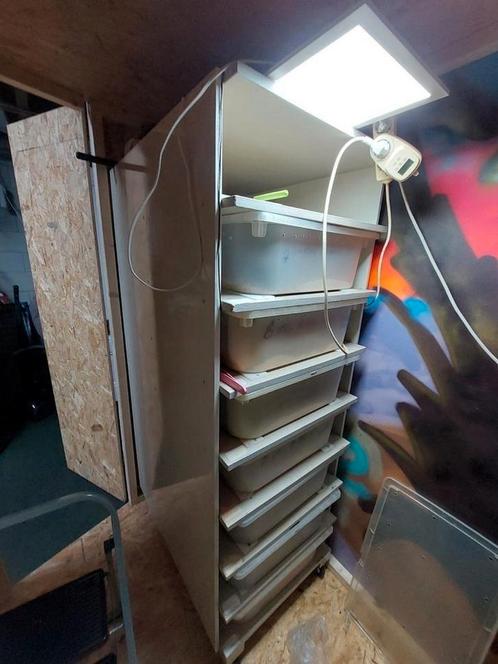 rack met 8 bakken en dag/nacht thermostaat, Dieren en Toebehoren, Reptielen en Amfibieën | Toebehoren, Gebruikt, Ophalen