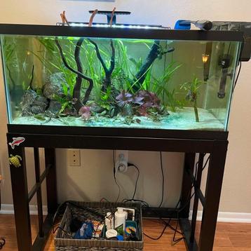Aquarium gezocht  beschikbaar voor biedingen
