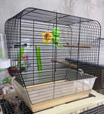 Cage a canaris ou perruche, Ophalen, Zo goed als nieuw