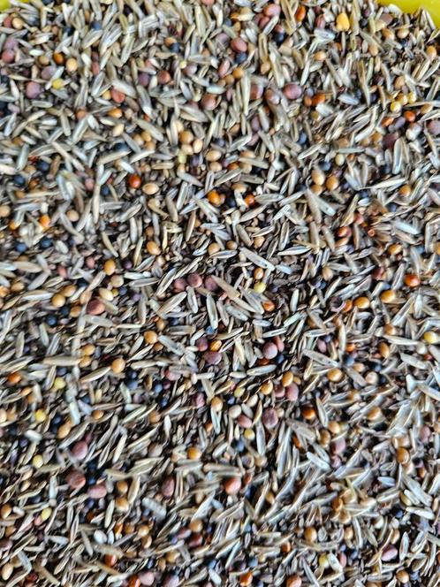 EXPERT Onkruidenzaden 1kg - Witte Molen, Dieren en Toebehoren, Vogels | Toebehoren, Ophalen of Verzenden