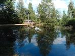 Chalet à rénover avec étang privé