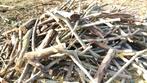 gratis brandhout, Moins de 3 m³, Enlèvement, Autres essences de bois, Branches
