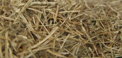 Vlaslemen, ideaal strooisel voor paarden / GRATIS LEVERING, Animaux & Accessoires, Box & Pâturages, Mise à l'étable, Accessoires