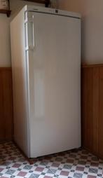 Diepvriezer, Gebruikt, 140 tot 160 cm, Ophalen, Vrieskast