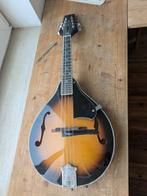 mandolin mandoline harley benton, Muziek en Instrumenten, Ophalen, Zo goed als nieuw
