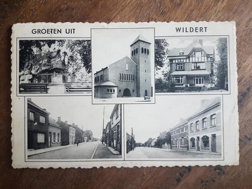 Postkaart Groeten uit Wildert ( Essen ), Verzamelen, Postkaarten | België, Gelopen, Antwerpen, 1940 tot 1960, Ophalen of Verzenden