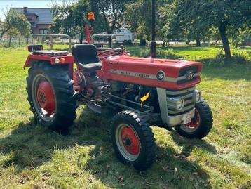Massey Ferguson 135 beschikbaar voor biedingen