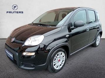 Fiat Panda 1.0 Hybrid 70PK MT6, Achat, Panda, Boîte manuelle, 70 ch