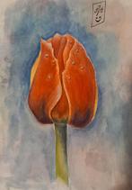 Aquarel schilderij, Ophalen