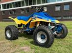 Suzuki LT 500R Quadzilla Quadracer met Kenteken L7E, Motoren, 1 cilinder, Meer dan 35 kW