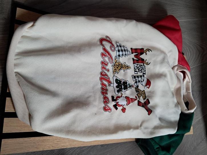 Pull - sweat pour bouledogue anglais - bully, Dieren en Toebehoren, Overige Dieren-accessoires, Ophalen