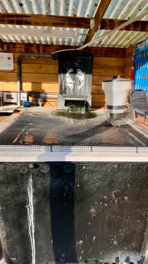 Quarantaine bak / opgroeibak te koop, Dieren en Toebehoren, Vissen | Vijvervissen, Karper of Koi