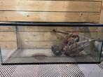 Aquarium 160L 1m x 40 x 40, Dieren en Toebehoren, Ophalen, Zo goed als nieuw